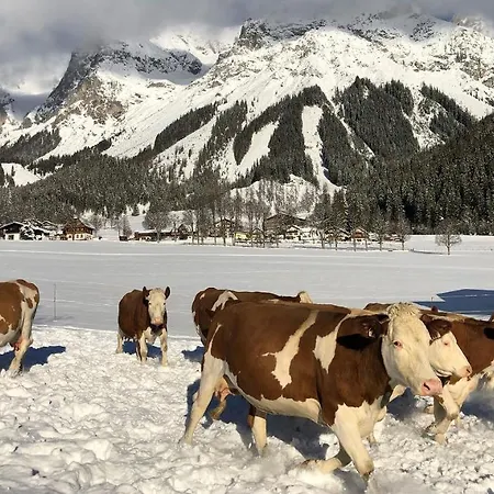 Bio-bauernhof Simonbauer ファームステイ *