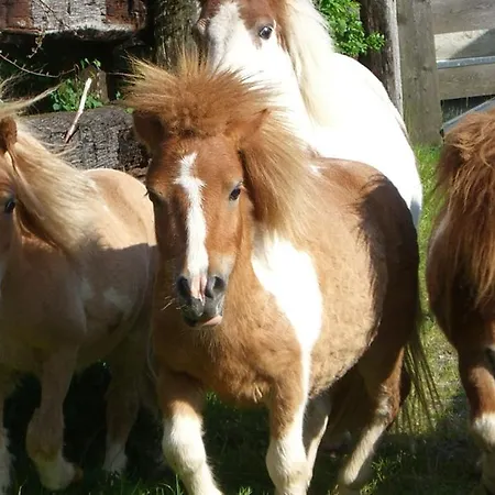 ファームステイ Bio-bauernhof Simonbauer