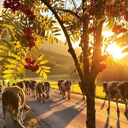 Farmház Bio-bauernhof Simonbauer *