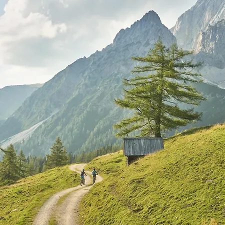 Bio-bauernhof Simonbauer * Ramsau am Dachstein