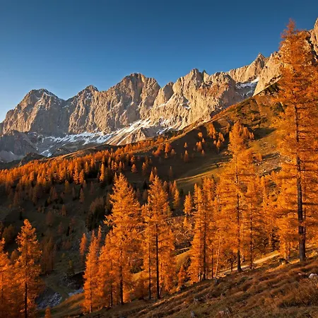 Alloggio per agriturismo Bio-bauernhof Simonbauer *