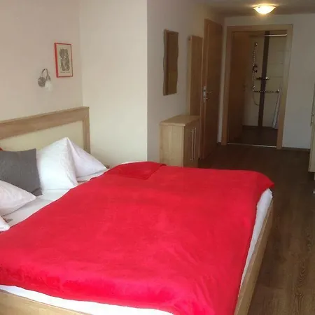 Bio-bauernhof Simonbauer ファームステイ ラムサウ・アム・ダッハシュタイン