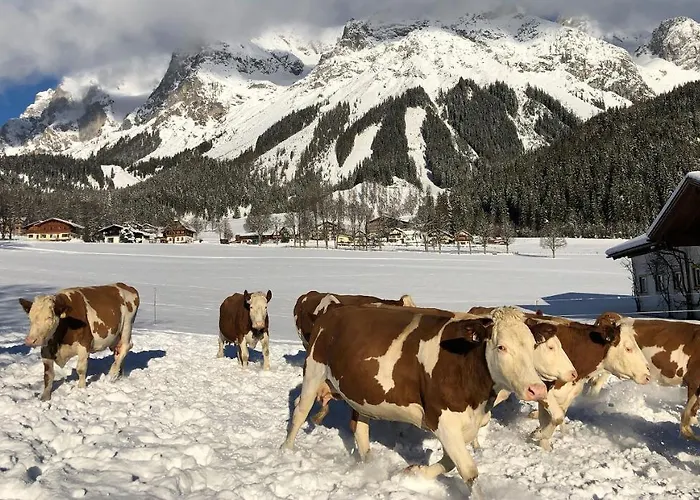 Bio-bauernhof Simonbauer Feriegård *
