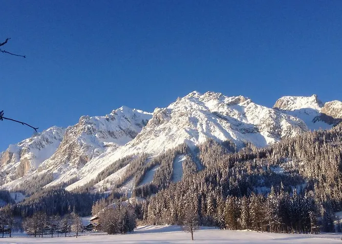Bio-bauernhof Simonbauer Bauernhof Ramsau am Dachstein