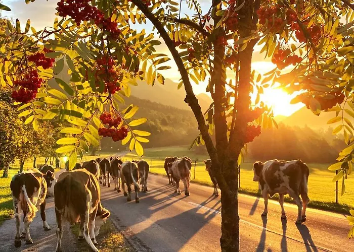 팜스테이 Bio-bauernhof Simonbauer *