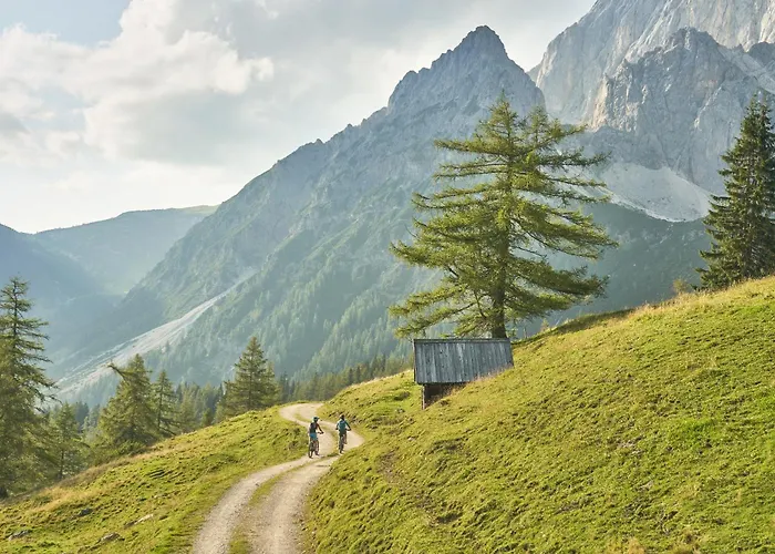 Bio-bauernhof Simonbauer * 람자우 암 다흐스타인