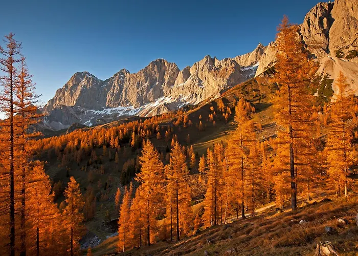 Feriegård Bio-bauernhof Simonbauer *